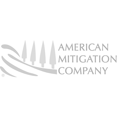 AMC