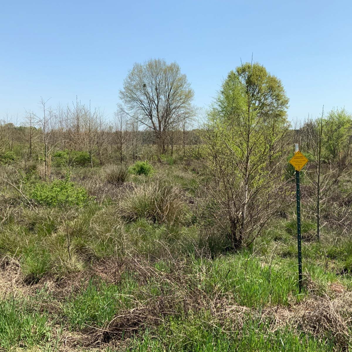 CarawayCreek2