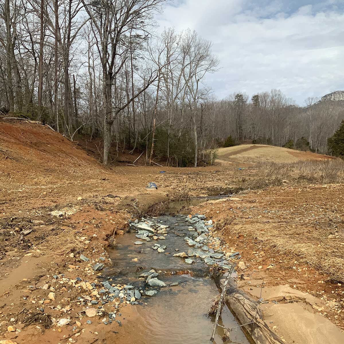 GrassyCreek2