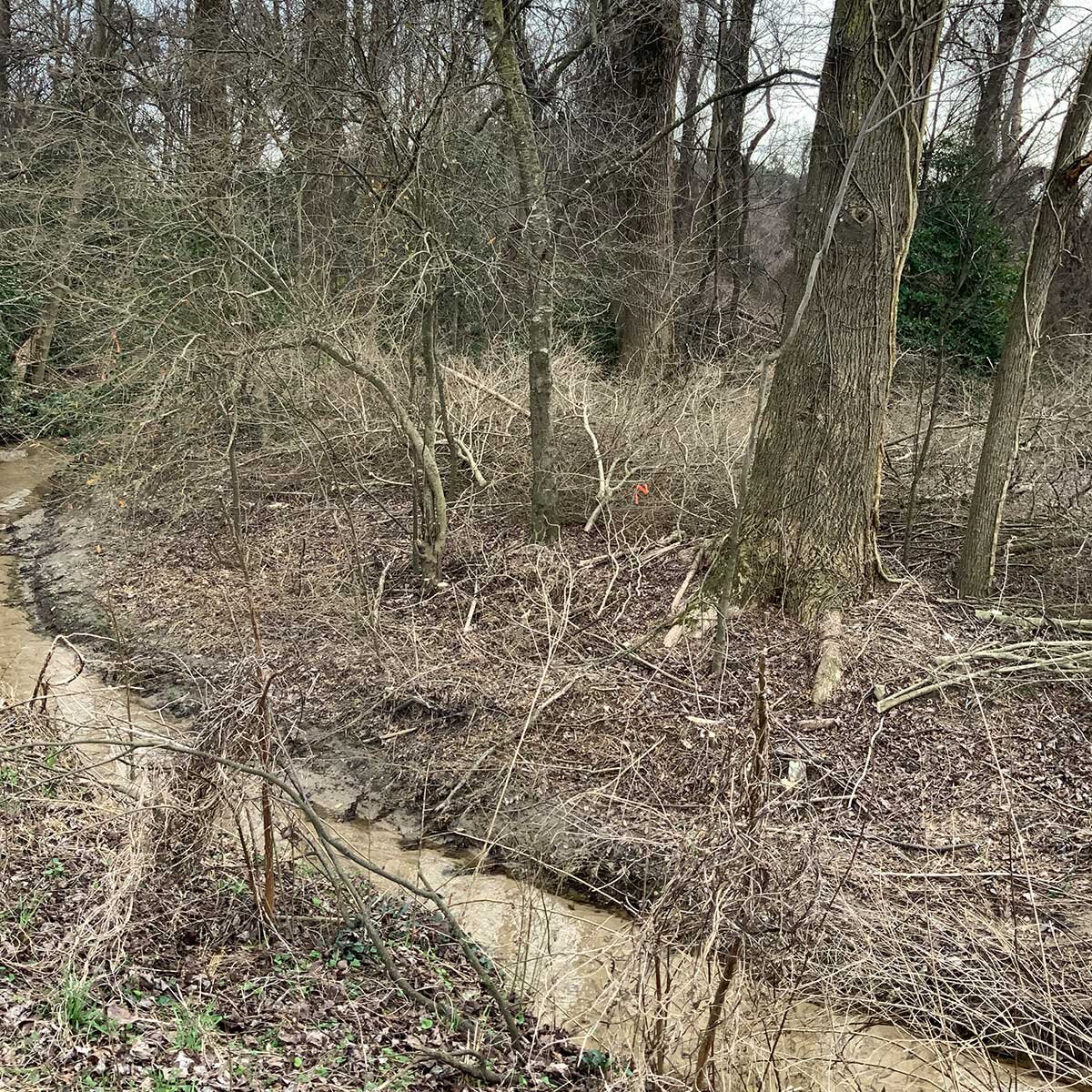 LongPond2