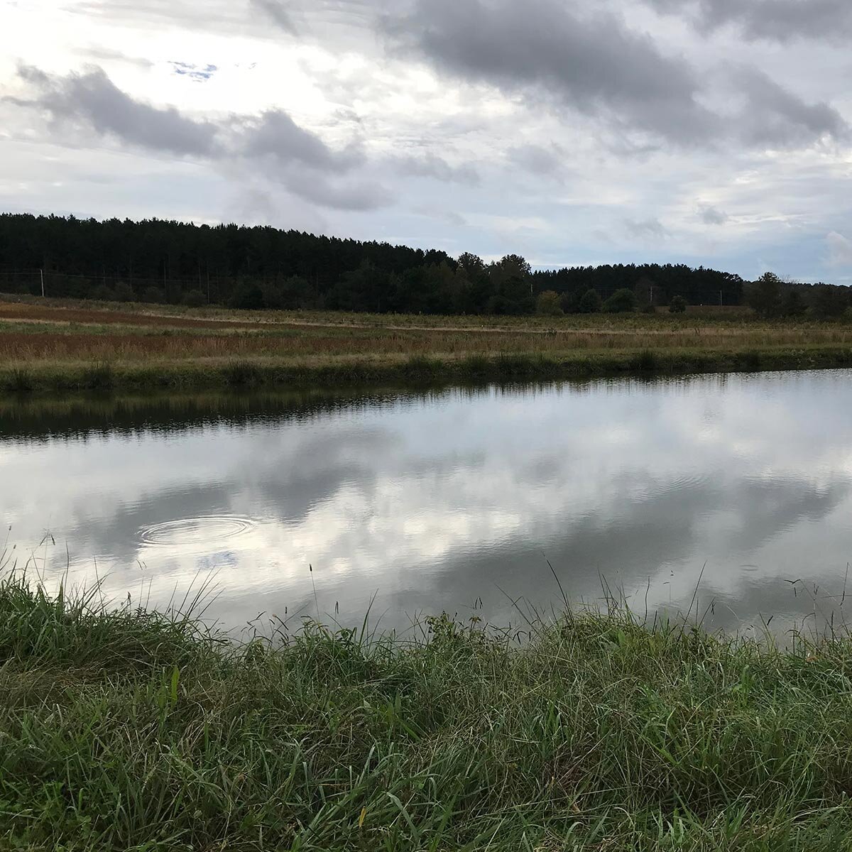 NFLittleRiver2
