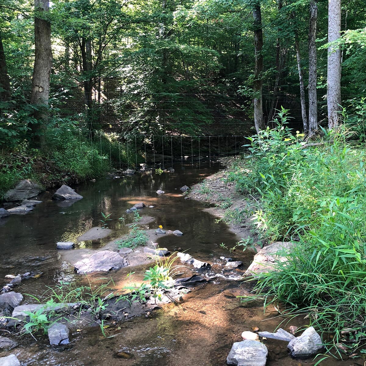 RiverHoss2