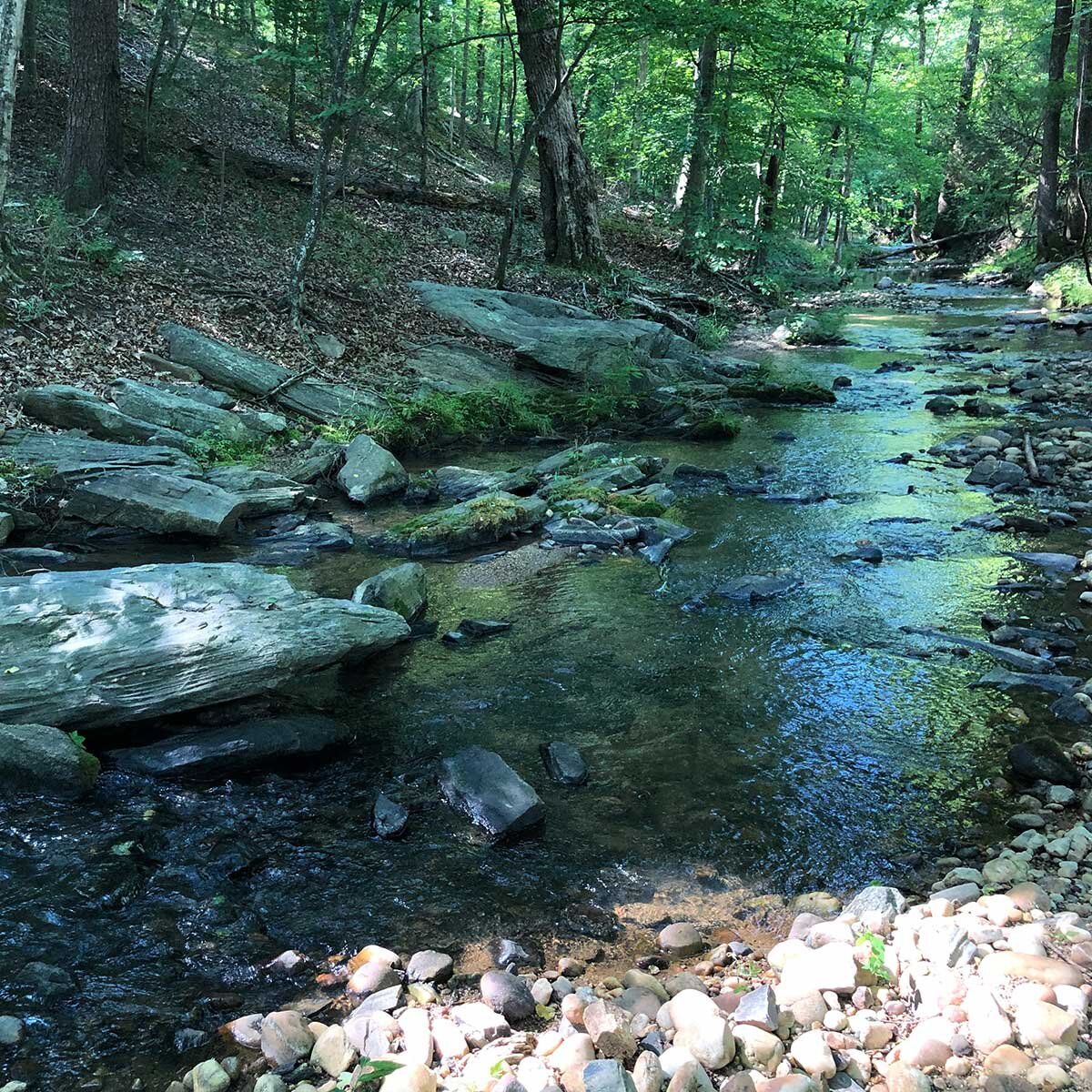 RiverHoss4