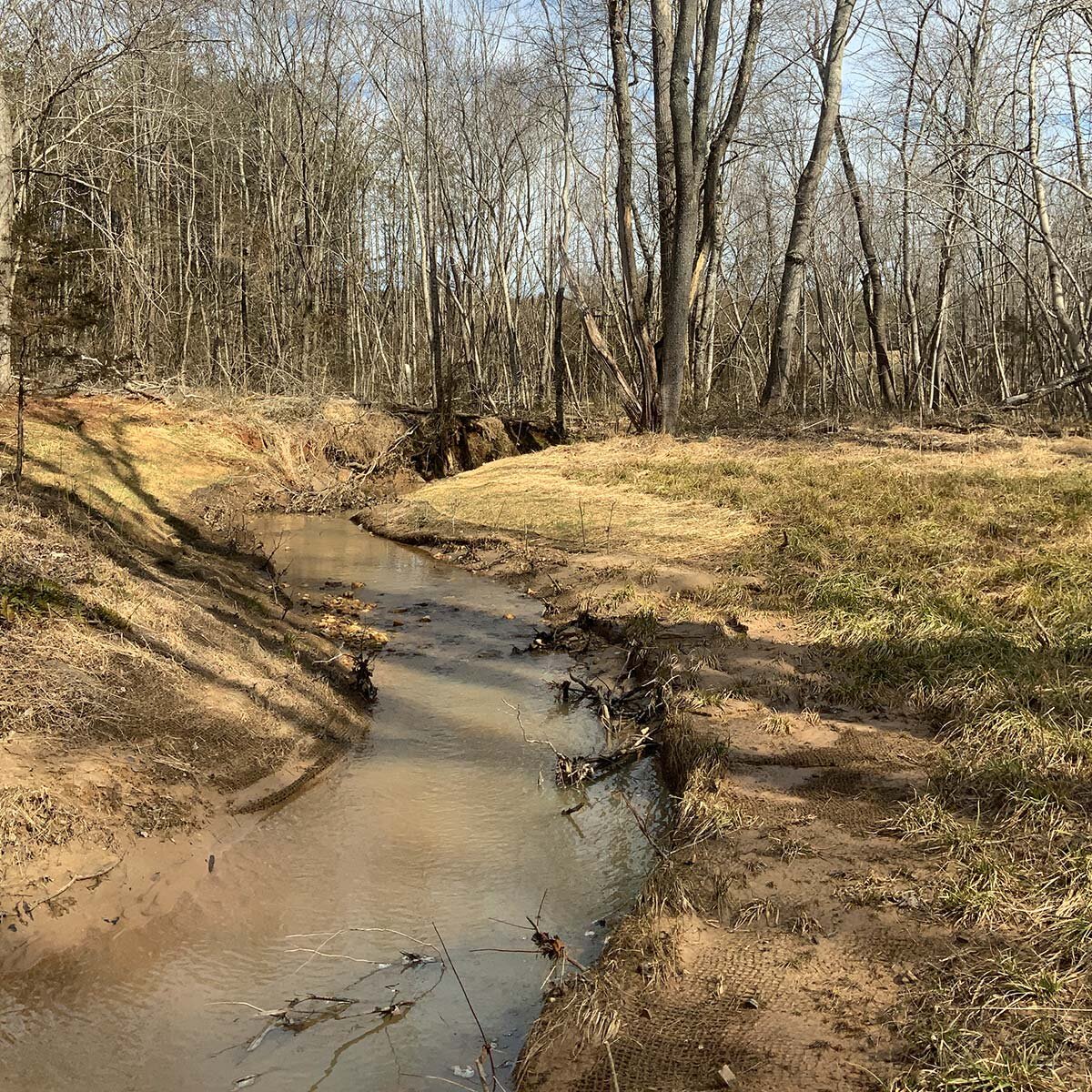 TomsCreek2