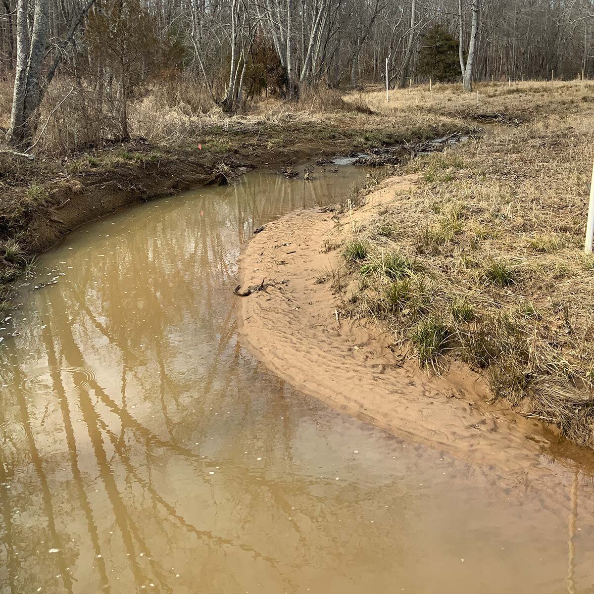 TomsCreek3
