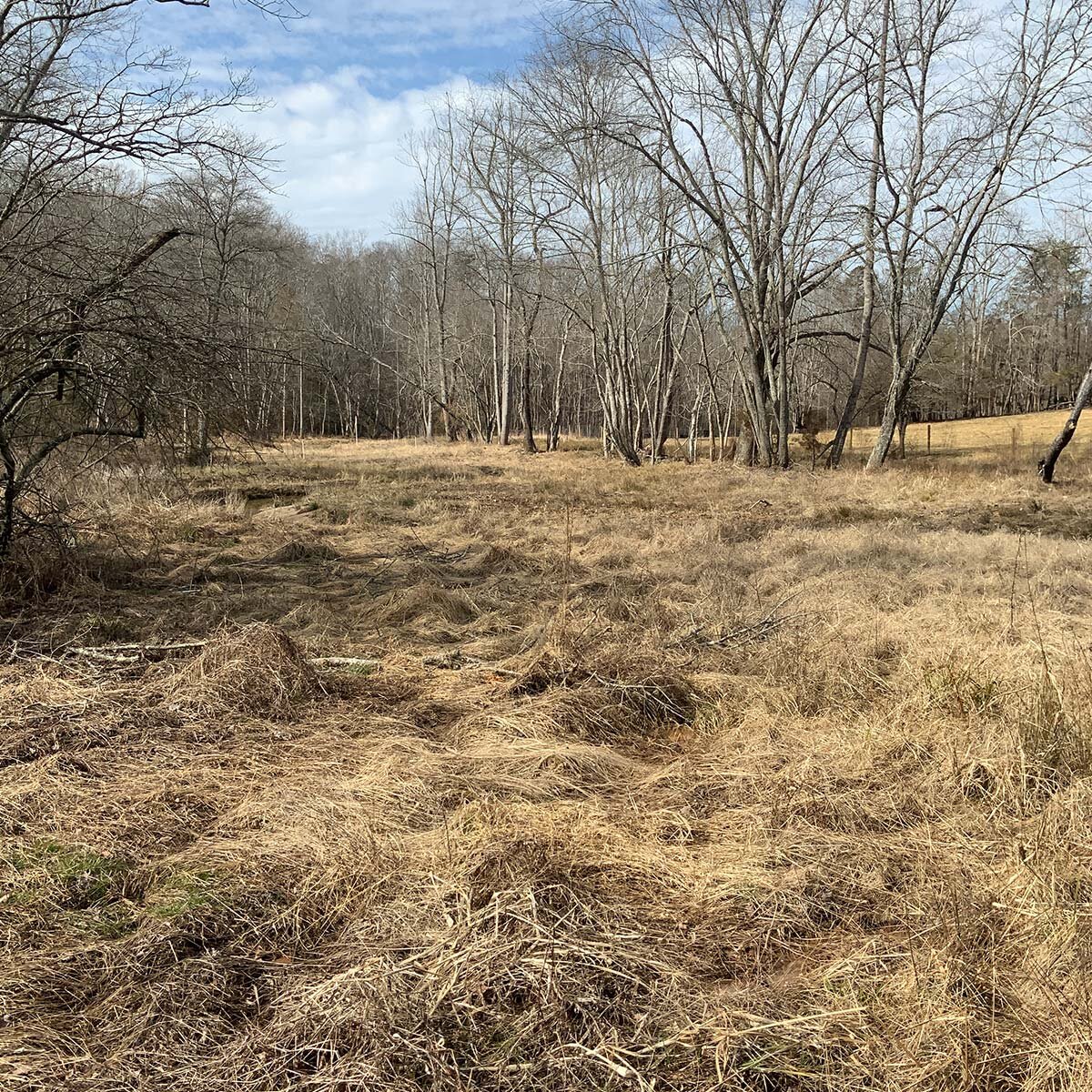 TomsCreek4
